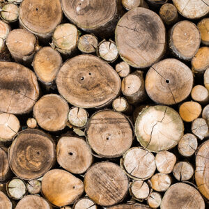 Wood texture background