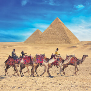 bedouins on camel near of great pyramid in egypt