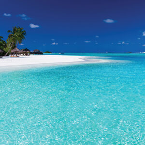 Palm trees over stunning lagoon and white beach