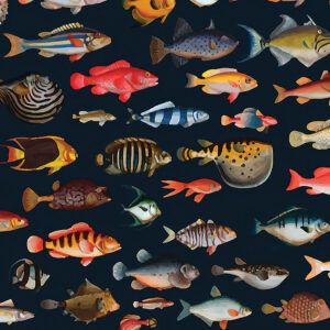 Fototapete Bunte Vorwitzige Fische _ Hovia DE-2