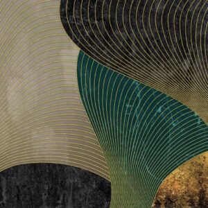 R51325