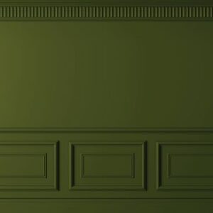 R41022